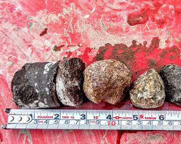 Tamaño de muestras de fragmentos de toca, barril muestreador (SPT)